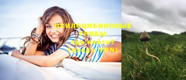 индика Великий Новгород