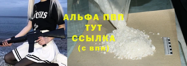 ECSTASY Покачи