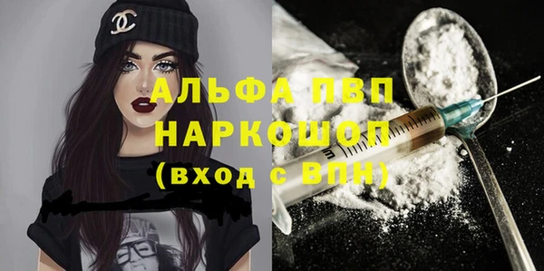 ECSTASY Покачи