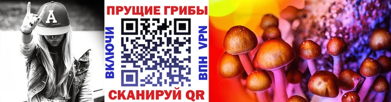 где можно купить   это клад  Псилоцибиновые грибы Psilocybe  Бородино 